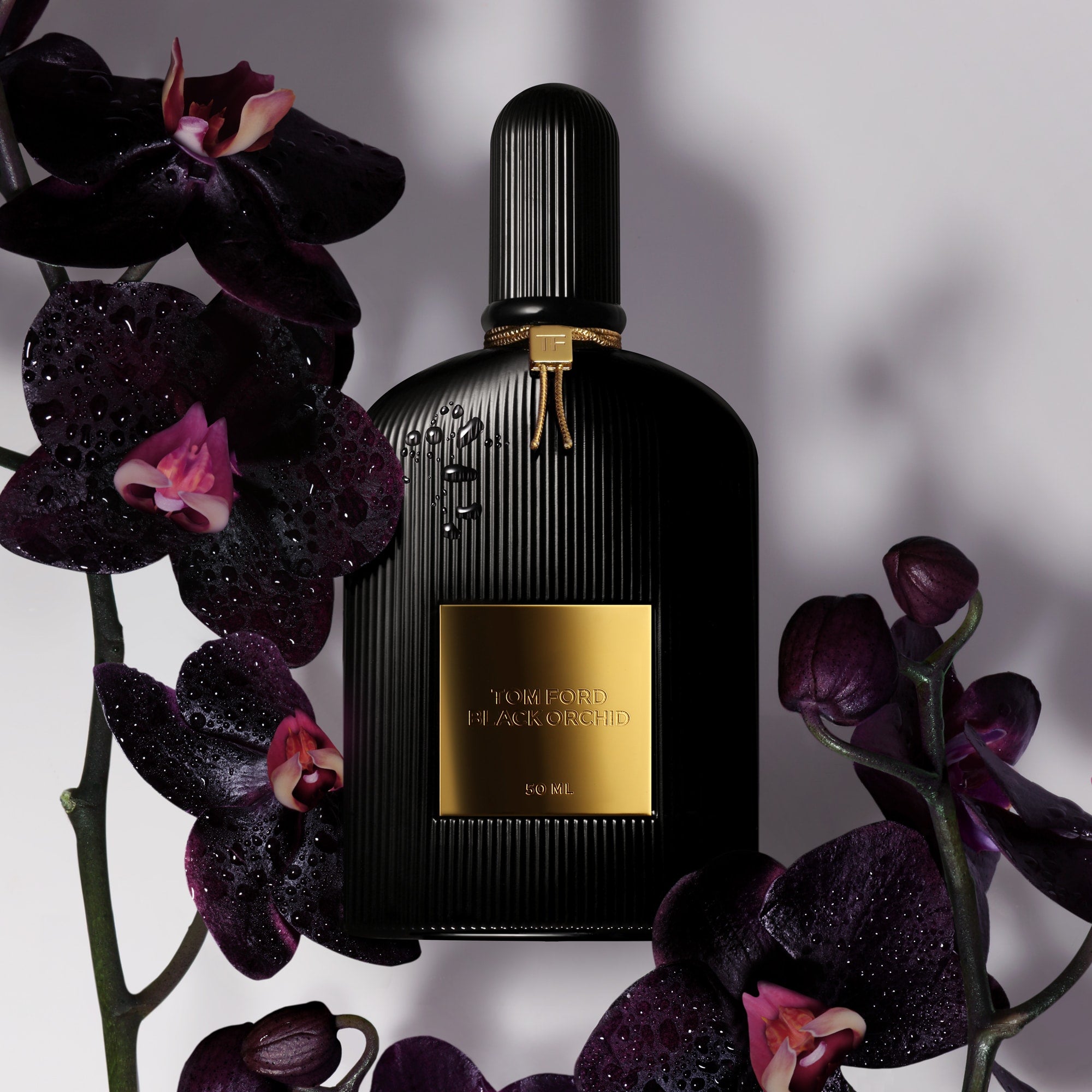 Black Orchid Eau de Parfum - Image 7