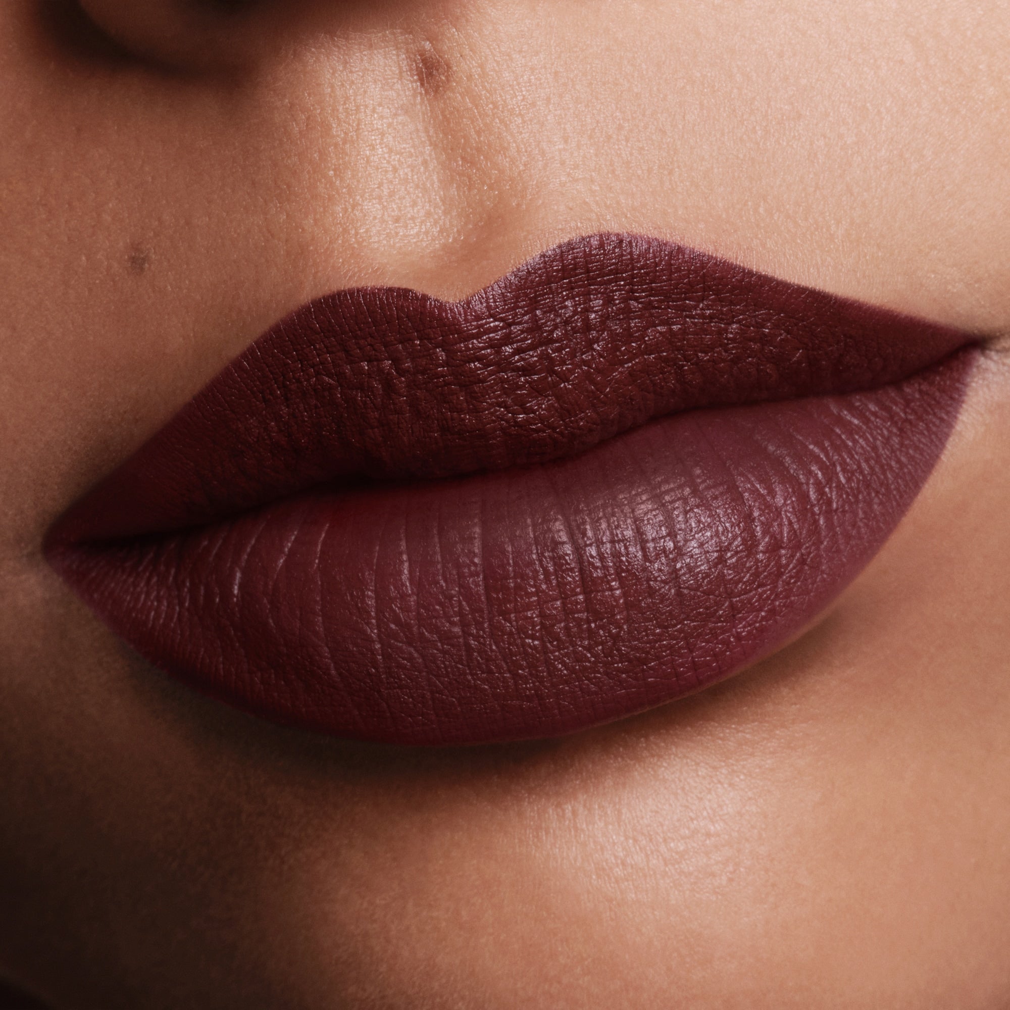 Fucking Fabulous Lip Color - Image 67