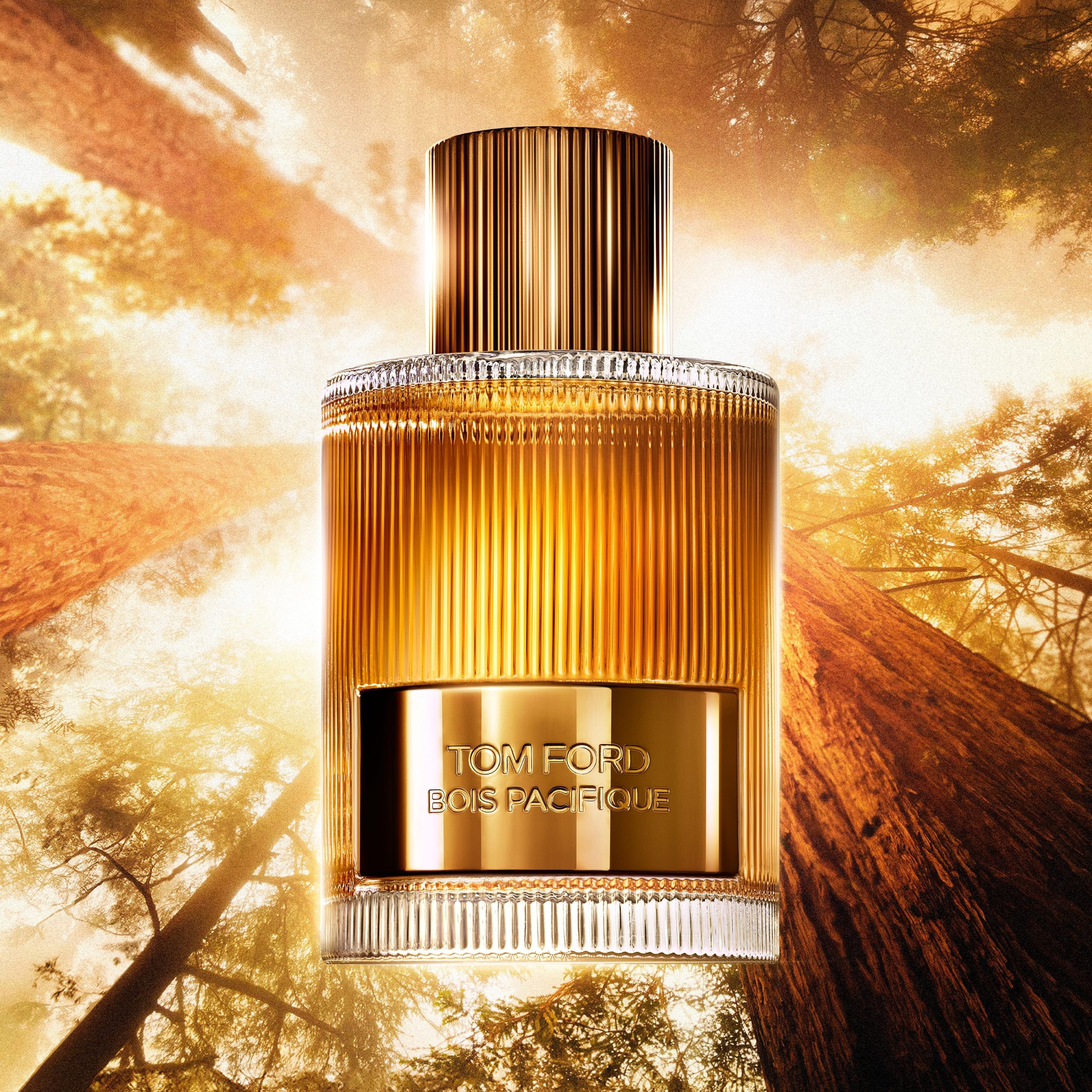 Bois Pacifique Eau de Parfum - Image 6