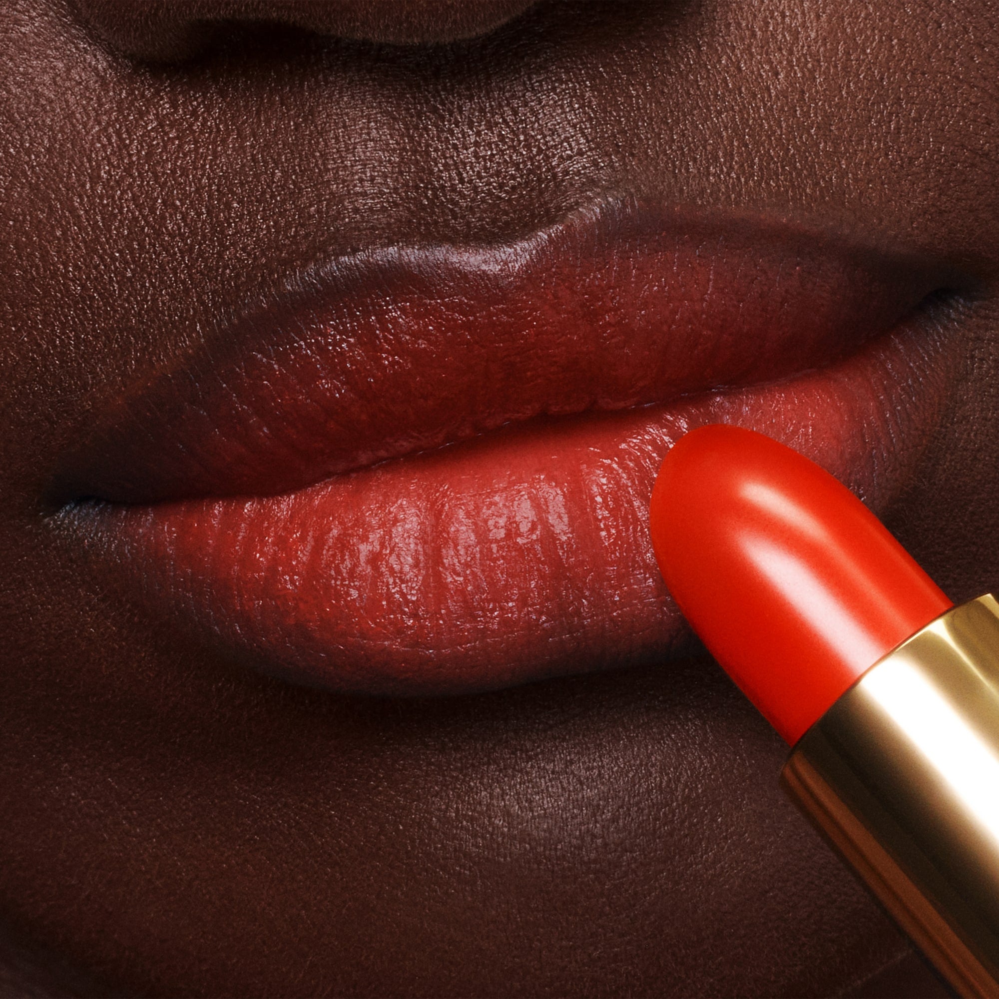Lip Color - Image 59