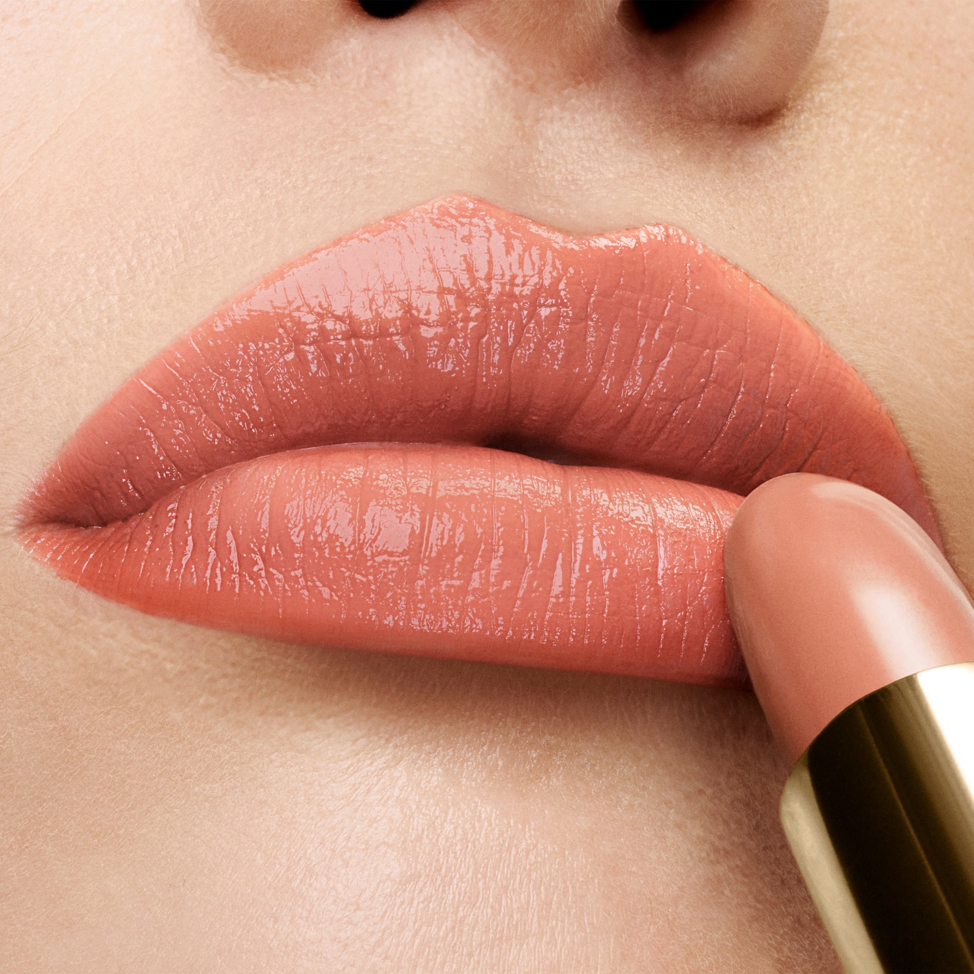 Lip Color - Image 51