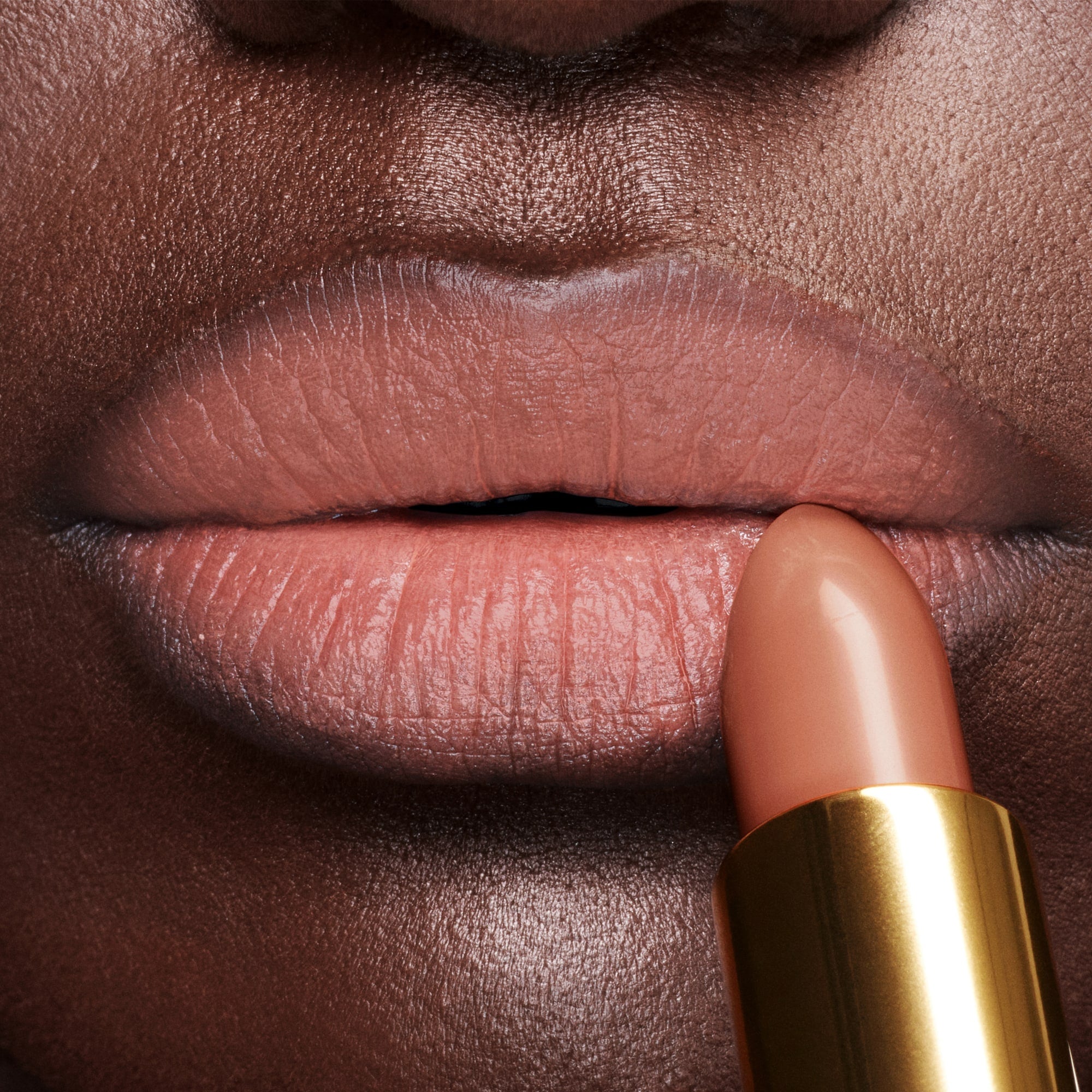 Lip Color - Image 53