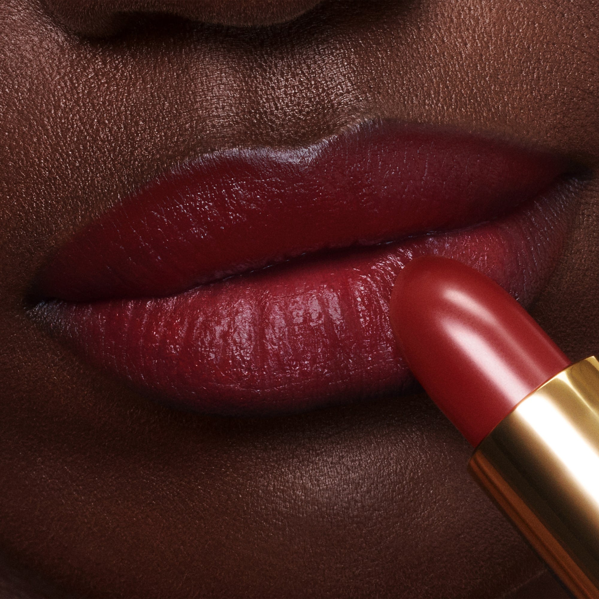 Lip Color - Image 101